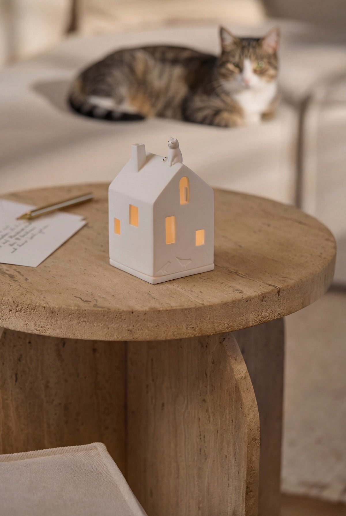 Räder Lichthaus Katze