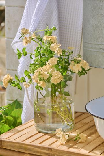 Ib Laursen Vase Hannah klares zylindrisches Glas