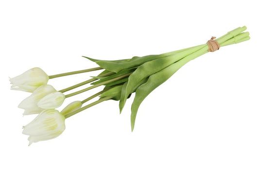 831159white7802-6c6938f8b9475d22e8f20efd52e3d8866247785a-png