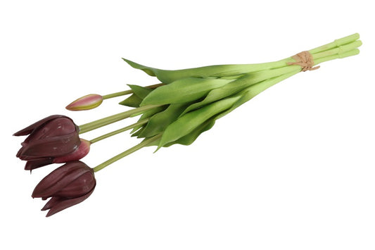 831160purple7802-7d0eee789242767bcd4ee46292ff834f0ff48756-png-2