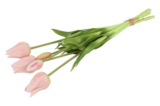 831164pink7802-fe02d62b34a80a751aaa3dc34656ed2a884c5443-png