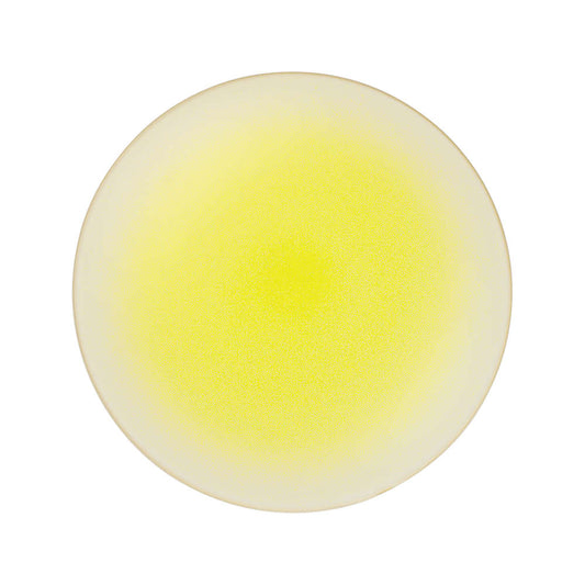 asa_platzteller_gelb_14180199_2