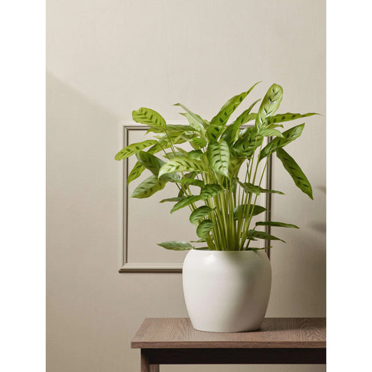 asa_uebertopf_bruna_ivory_klein_65055243_3