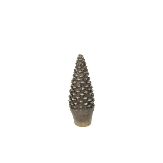 baum-rosco-l-814312-1wUiSOeSE6IJuj