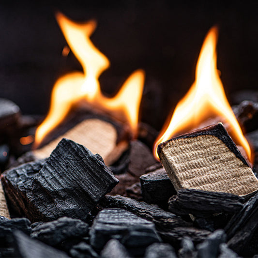 big_green_egg_grillanzuender_3