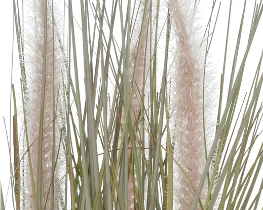 gras-im-topf-801915-2