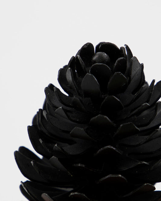 house-doctor-namensschildhalter-pinus-schwarze-antike-204000002-2