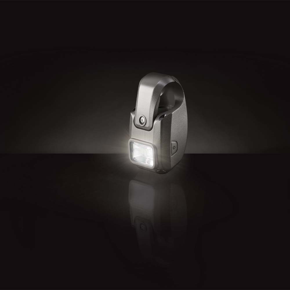 Napoleon LED Grill Beleuchtung