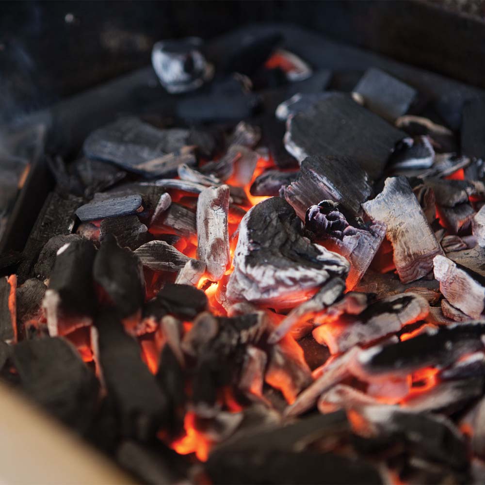 Napoleon Holzkohleeinsatz für Gasgrills