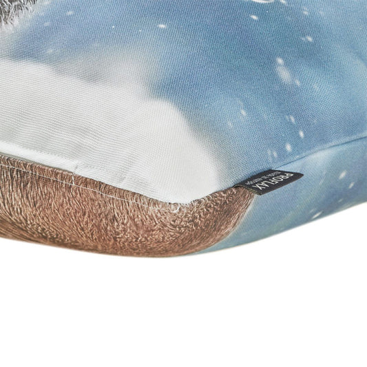 proflax-kissenhuelle-ivan-40x40-cm-7137-2