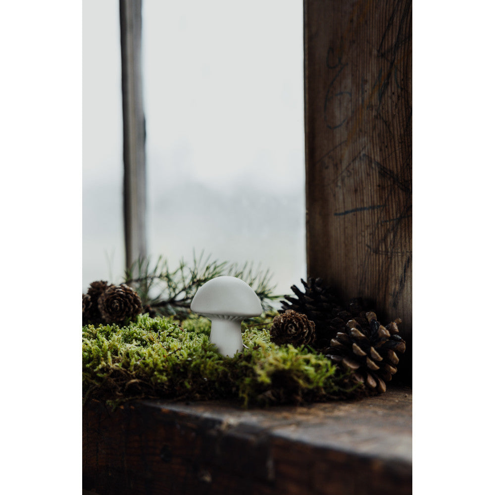 storefactory_pilz_bovik_weiss_917147_2