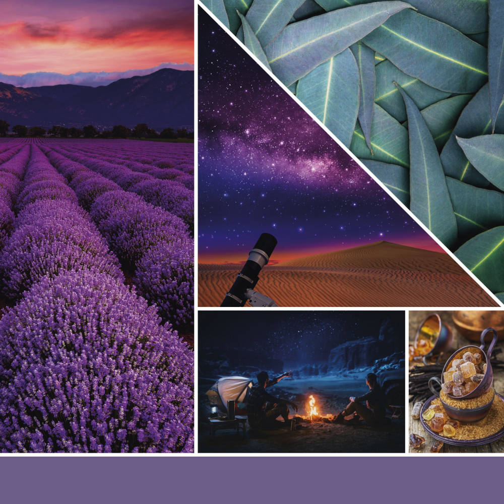 yankee_candle_Stargazing_Signature_M_2-Docht_5901749348_3