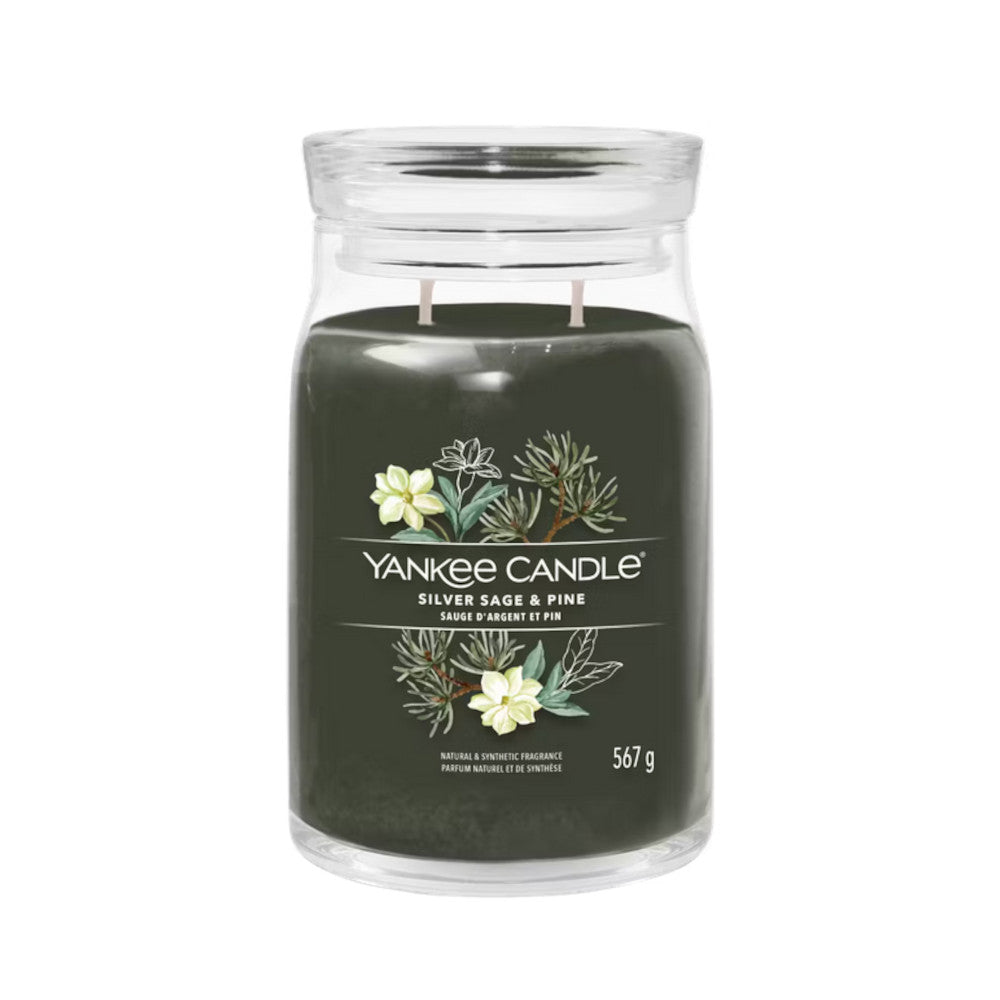 yankee_candle_silver_sage-pine_l_1_docht_5901629993