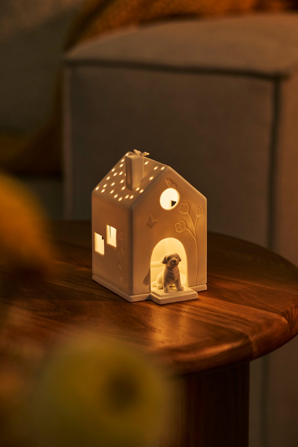 Räder Lichthaus Hund