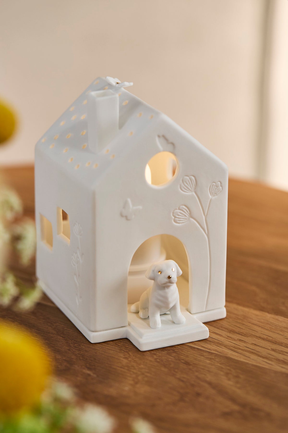 Räder Lichthaus Hund
