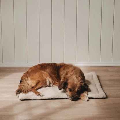 Eulenschnitt Hundedecke klein