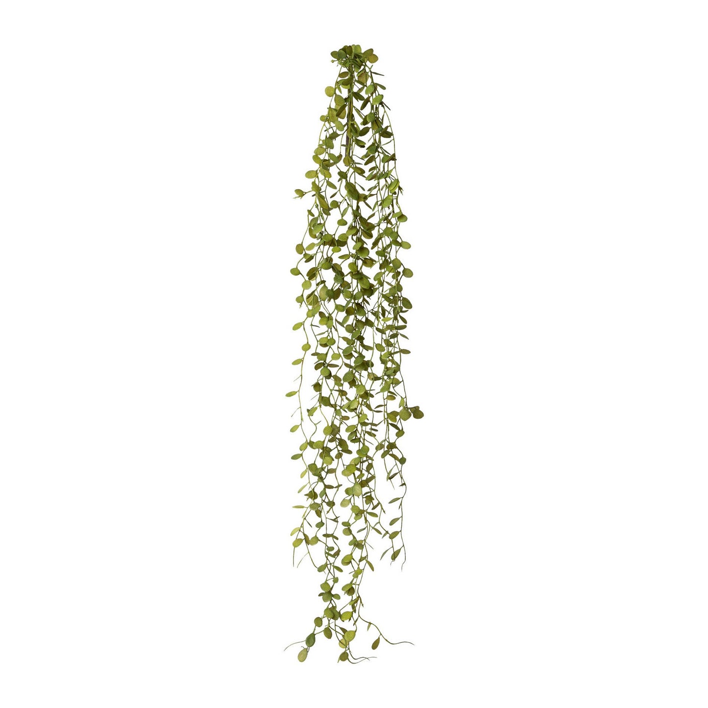 Mühlenbeckia-hänger, 71cm, Grün