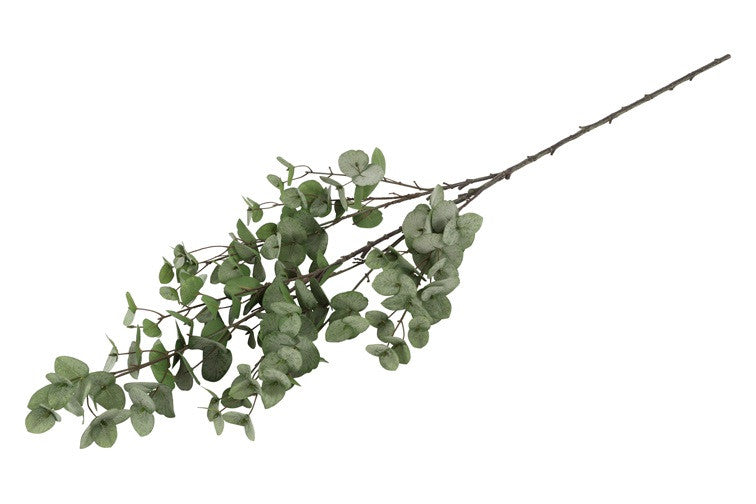 821840green7802-ff2bd3dcce8c12228344df39b6d7fa0a314aff5f-png
