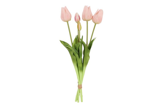 831164pink7801-5ec35c40c0c09d29abe6885de4ee77a980479249-png