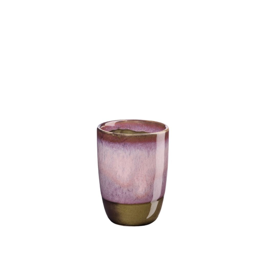 ASA Cup viola