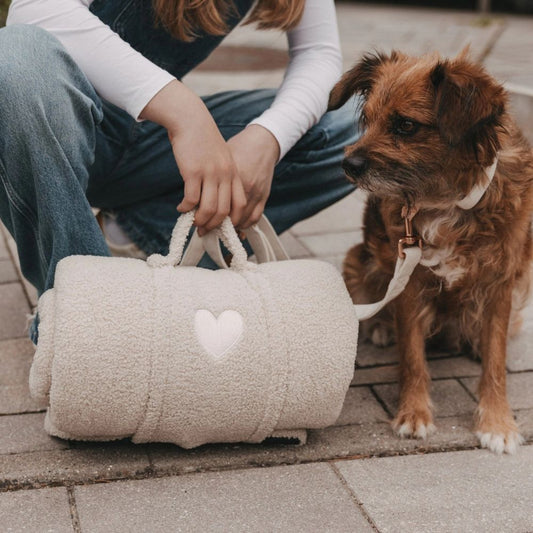 Eulenschnitt Hundedecke creme M