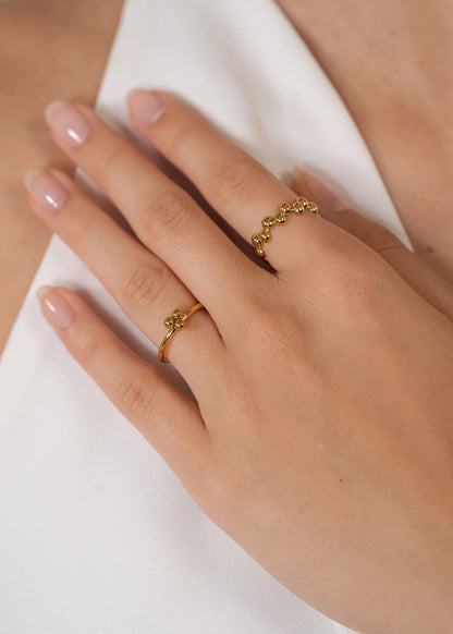 Terra Ring