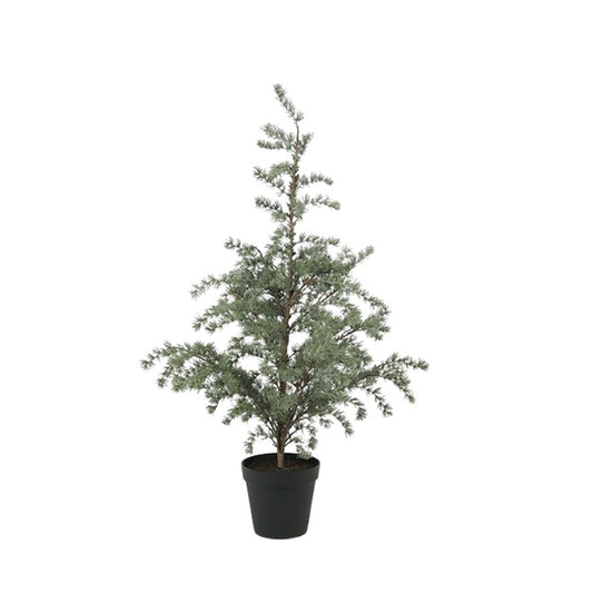 Pflanze Larix XL grün