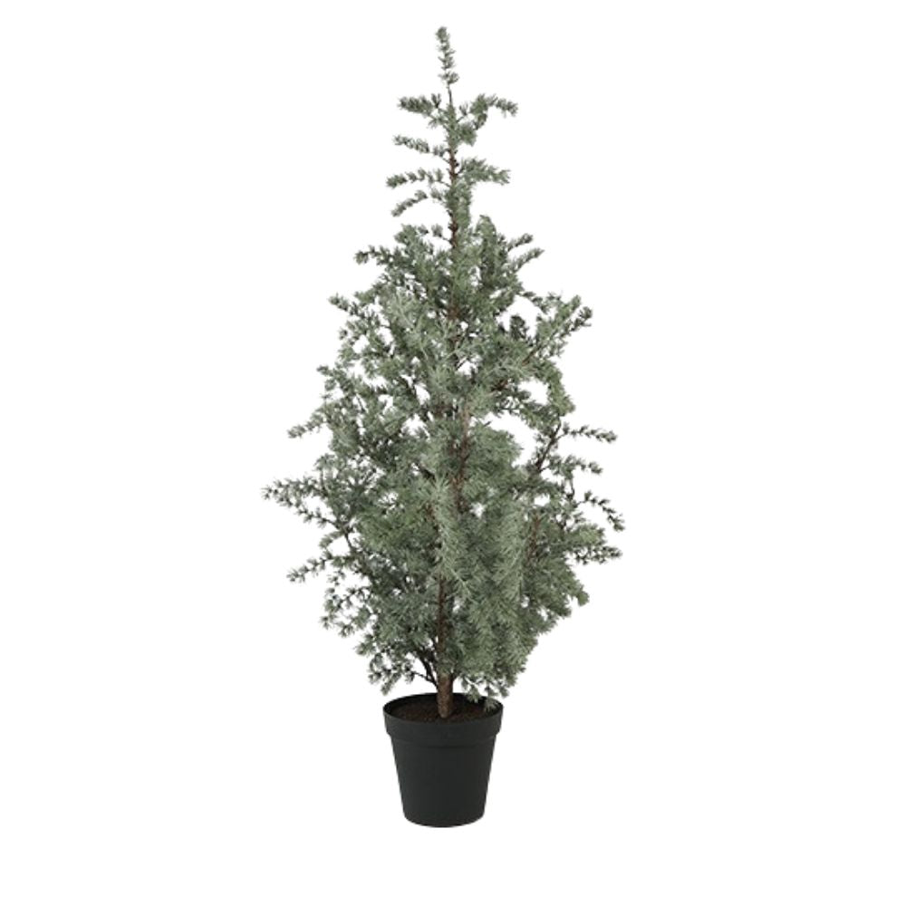 Pflanze Larix XXL grün