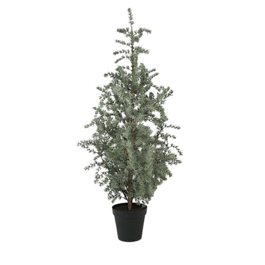 Pflanze Larix XXL grün