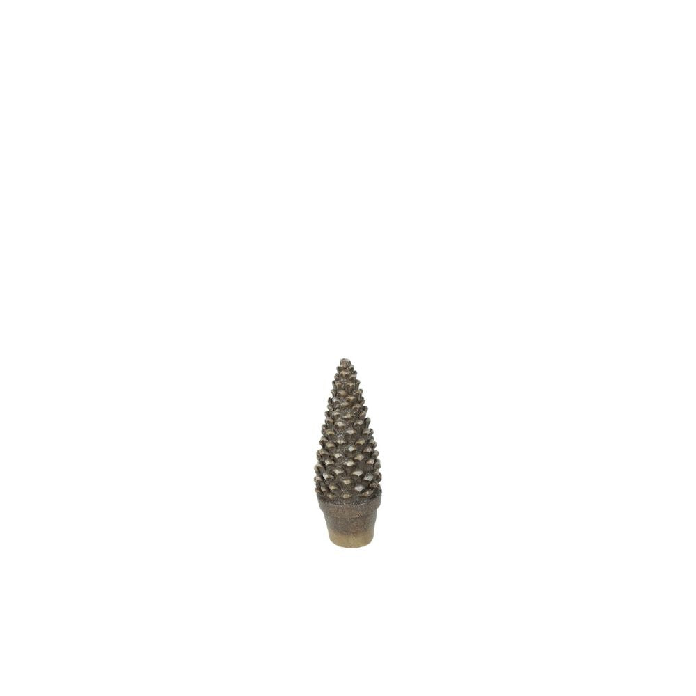 baum-paden-s-814130