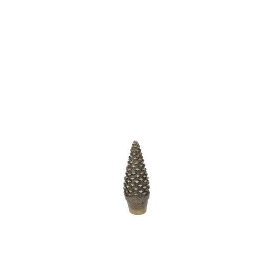baum-paden-s-814130