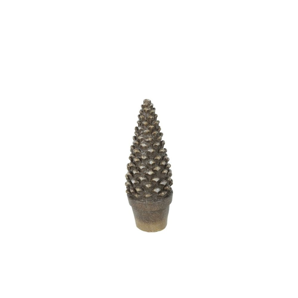 baum-rosco-l-814312-1wUiSOeSE6IJuj