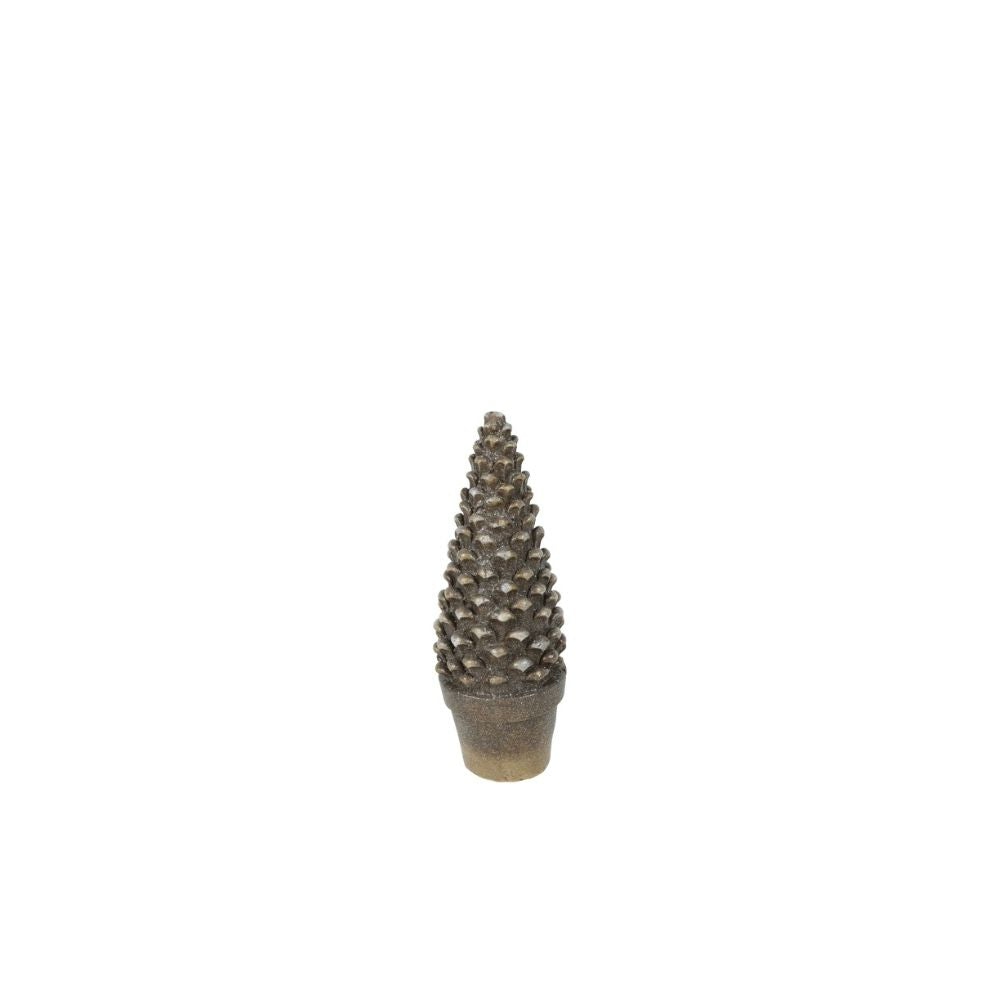 baum-rosco-m-814311-1