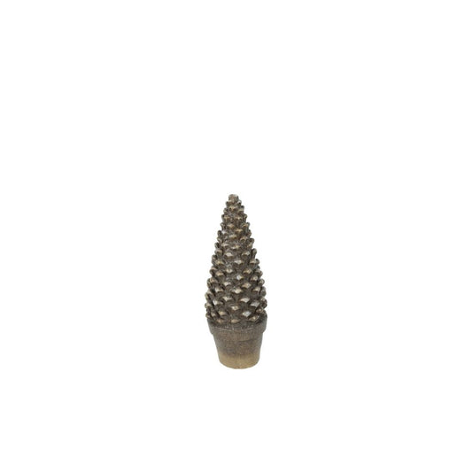 baum-rosco-m-814311-1
