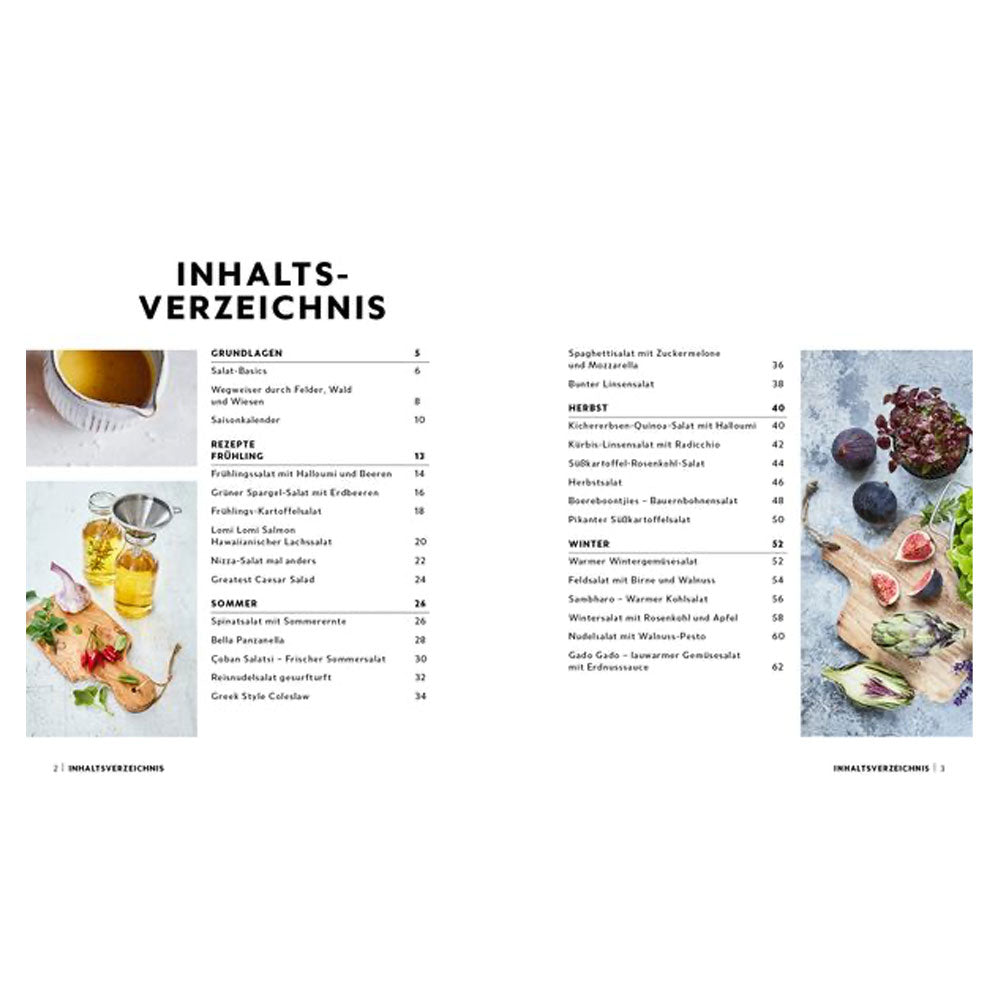 buch_sattmachersalate_rezeptbuch_isbn-9783745915730_2