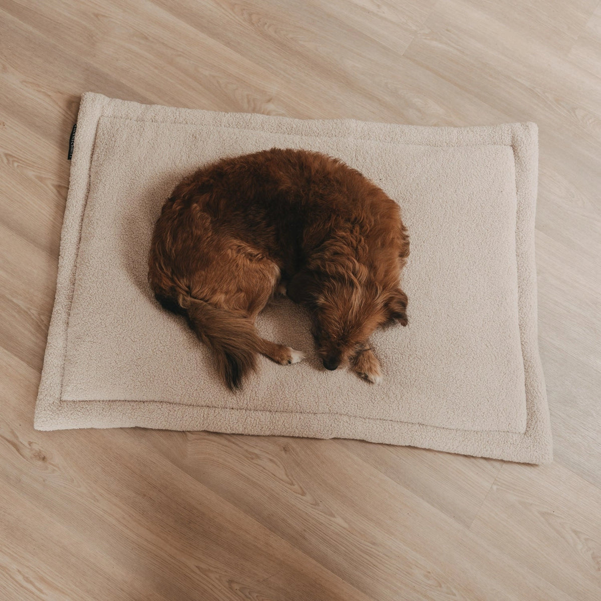 Eulenschnitt Hundedecke creme M