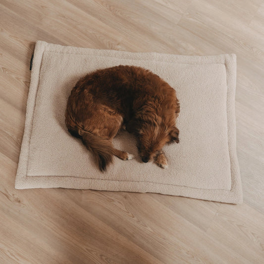 Eulenschnitt Hundedecke creme M