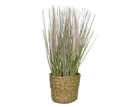 gras-im-topf-801915-1