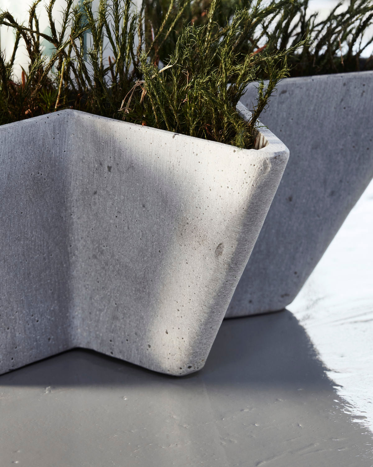 house-doctor-mold-star-207871071-4