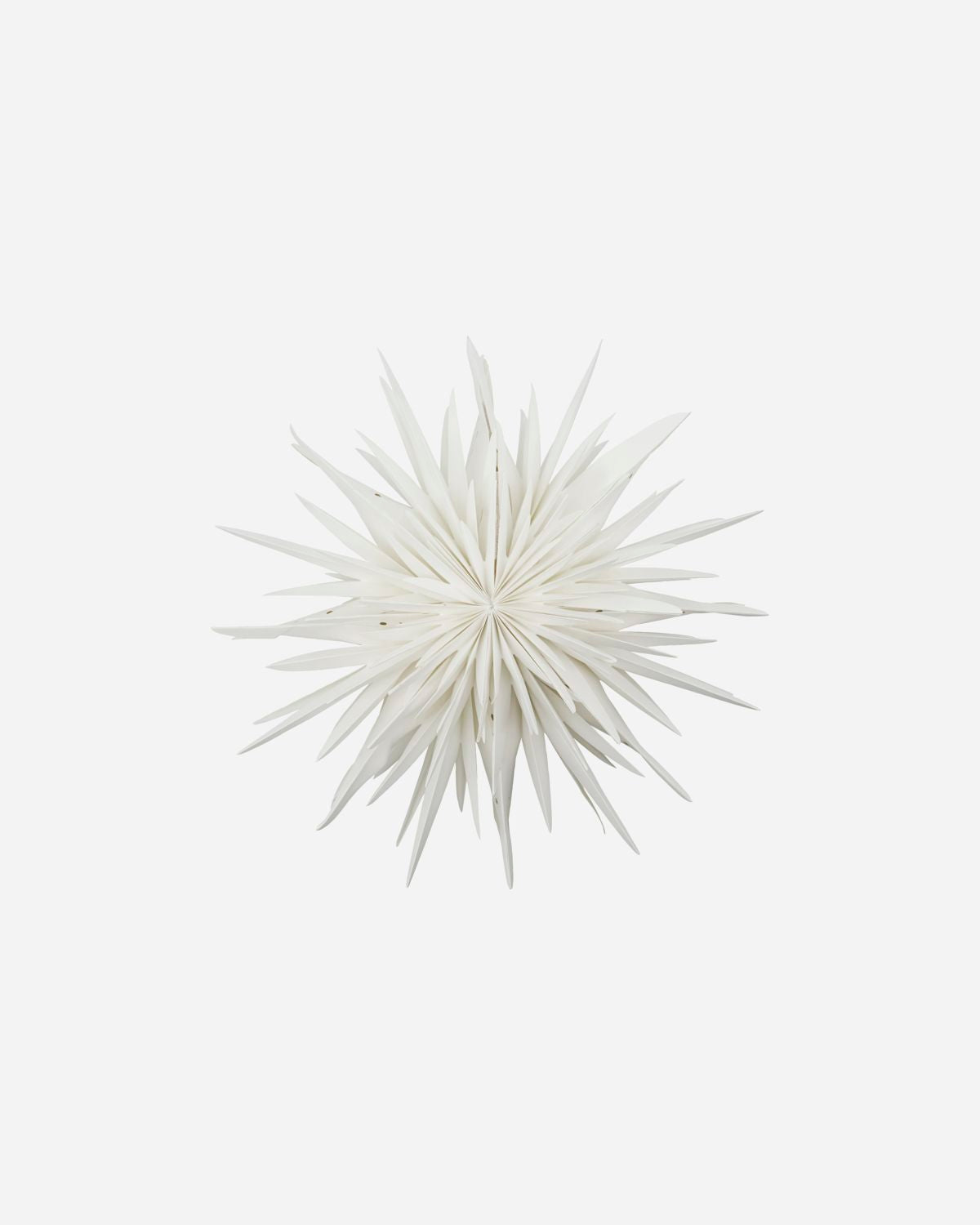house-doctor-stern-dust-off-white-206120901_01