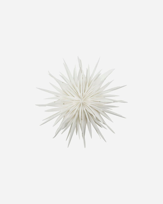 house-doctor-stern-dust-off-white-206120901_01