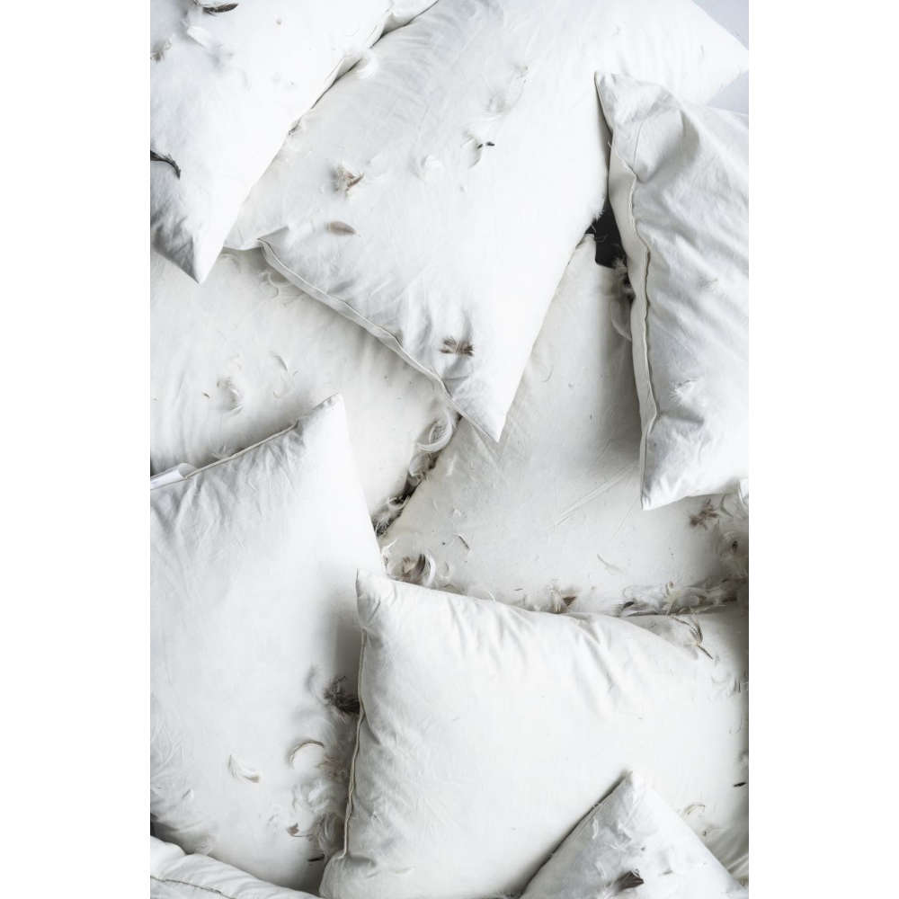 ib_laursen_kissen_inlett_60x40cm_800g_6478-00_2