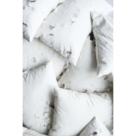 ib_laursen_kissen_inlett_60x40cm_800g_6478-00_2