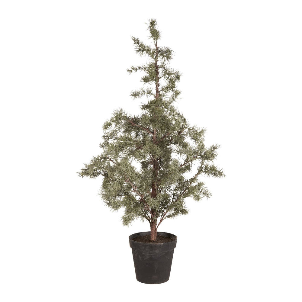 ib_laursen_zedernbaum_kuenstlich_27997-00_1