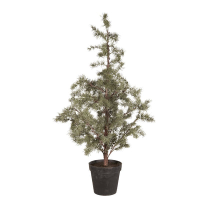 ib_laursen_zedernbaum_kuenstlich_27997-00_1