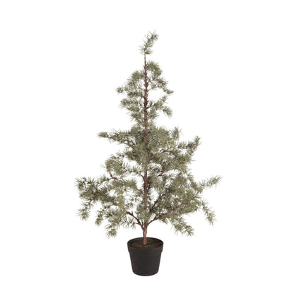 ib_laursen_zedernbaum_kuenstlich_m_27996-00_1