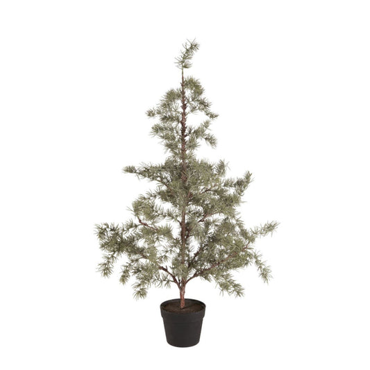 ib_laursen_zedernbaum_kuenstlich_m_27996-00_1