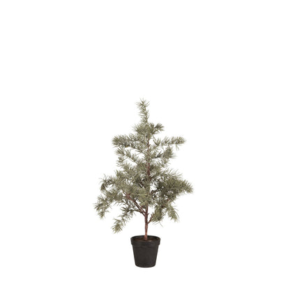 ib_laursen_zedernbaum_kuenstlich_xs_27994-00_1