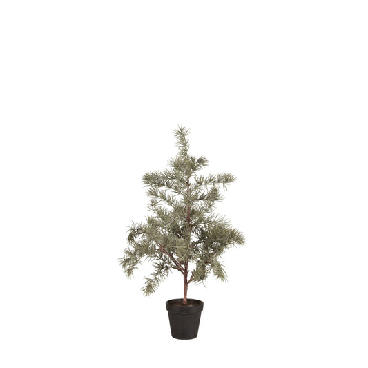 ib_laursen_zedernbaum_kuenstlich_xs_27994-00_1