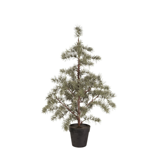 ib_laursen_zedernbaum_m_kuenstlich_27995-00_1